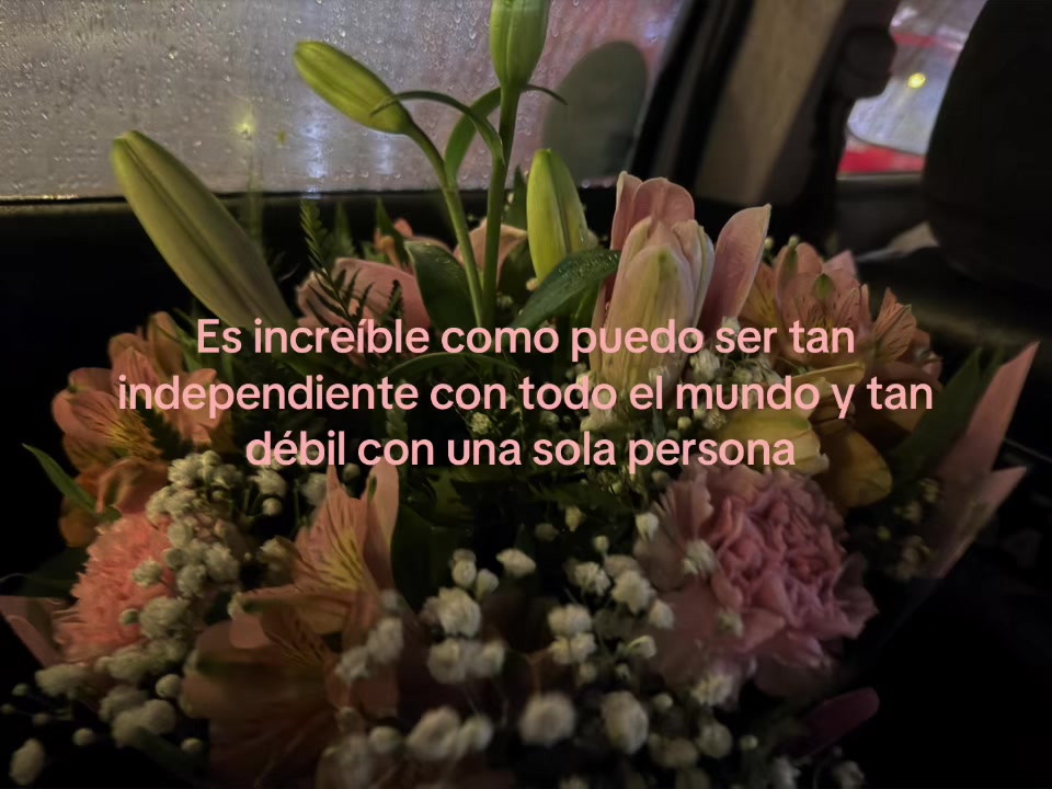 @Tnhd