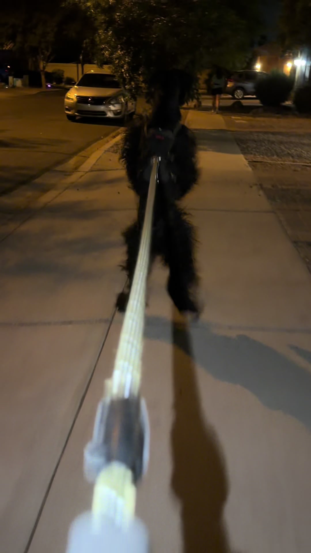 @Fiona Walks