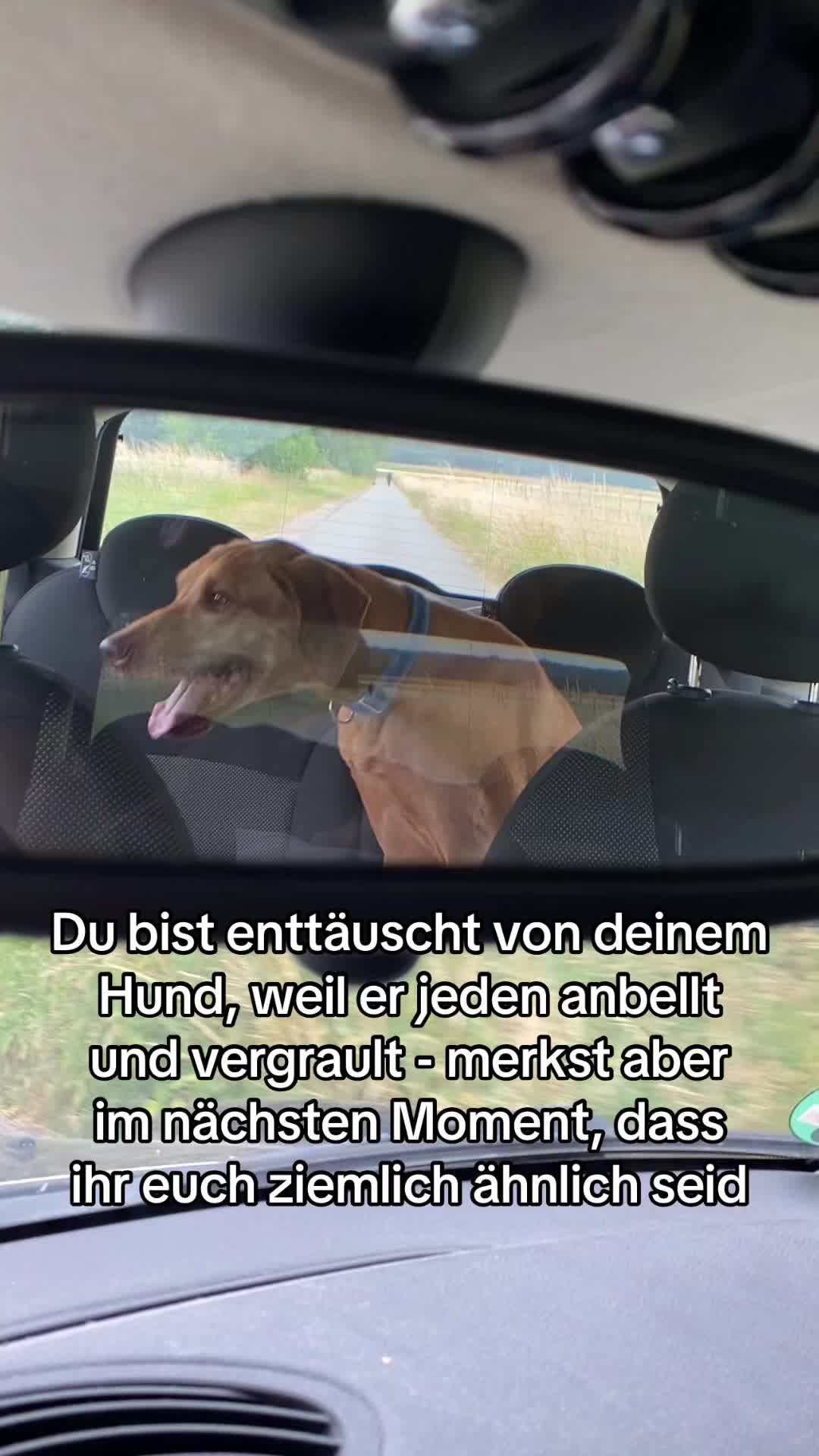 @Hundeurlaub.de