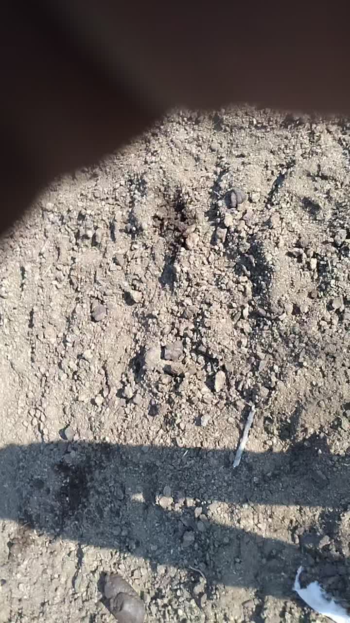 @Lubanzi Khumalo