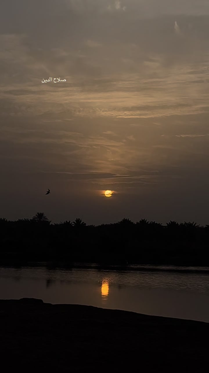 @گمنام ✍️