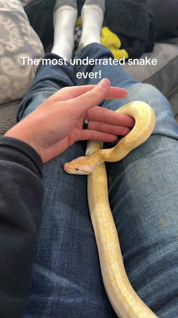 @That Reptile Guy
