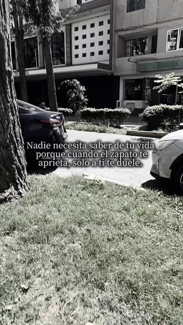 @Mary frases ❤️🩹