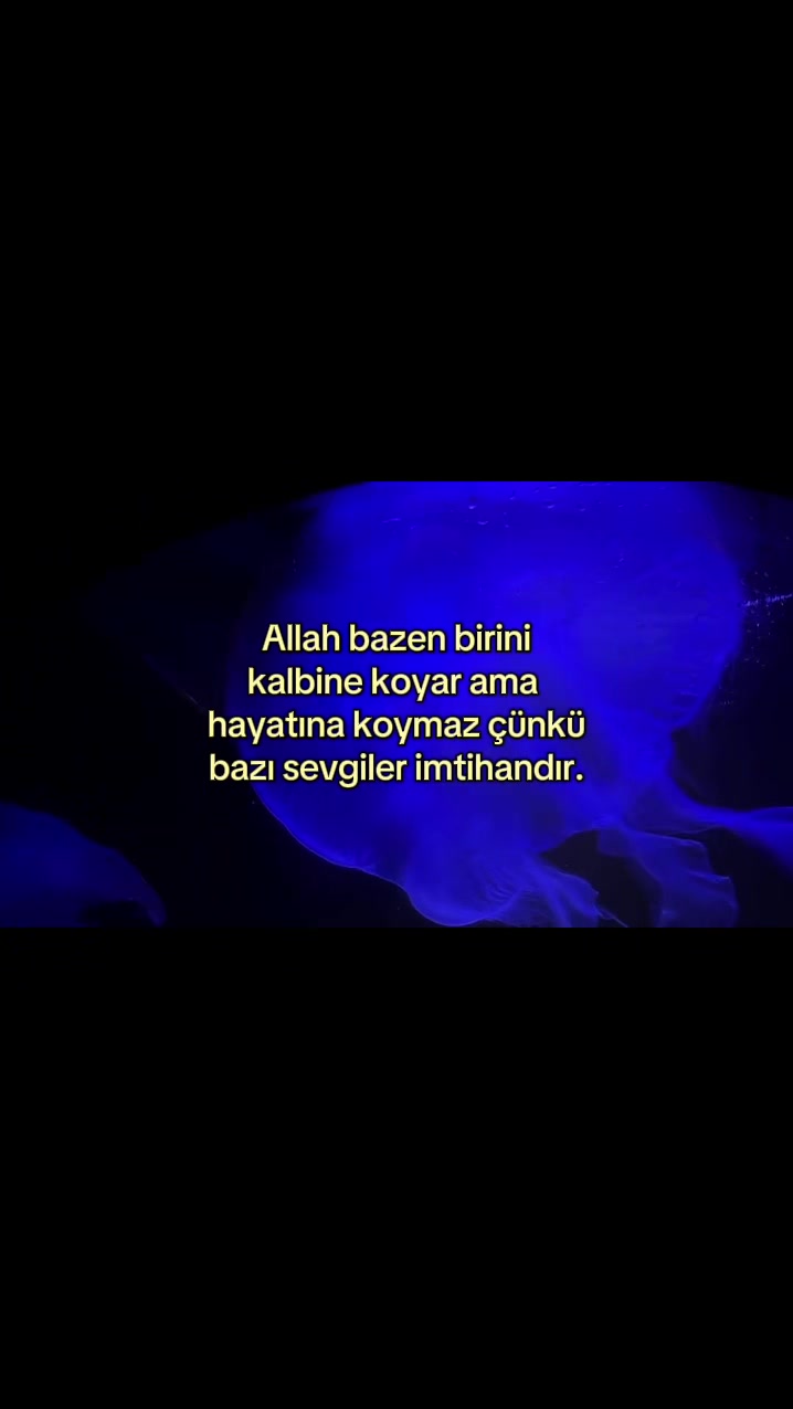 @𝑺.