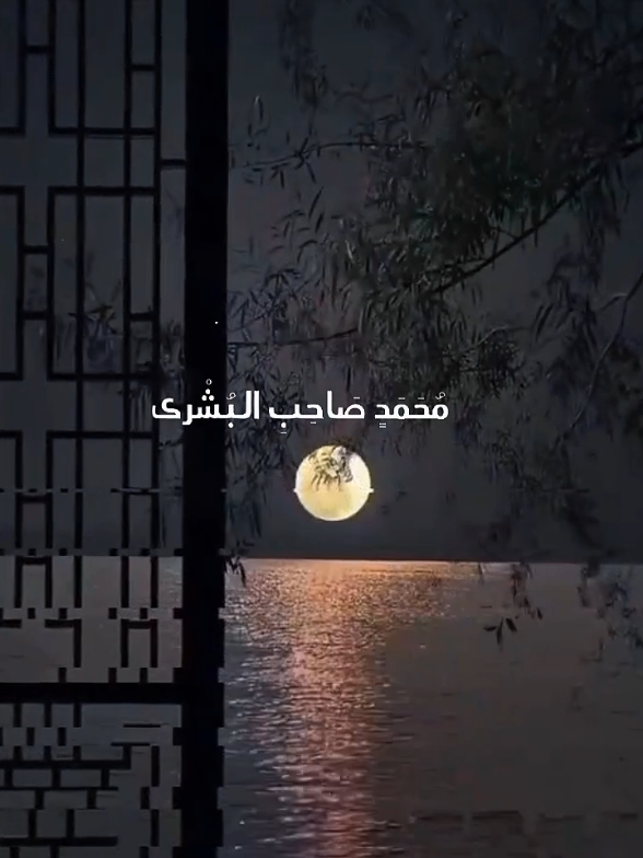 @𝐒𝐲𝐚𝐟𝐚'𝐚𝐭𝐮𝐥 𝐔𝐦𝐦𝐚𝐡