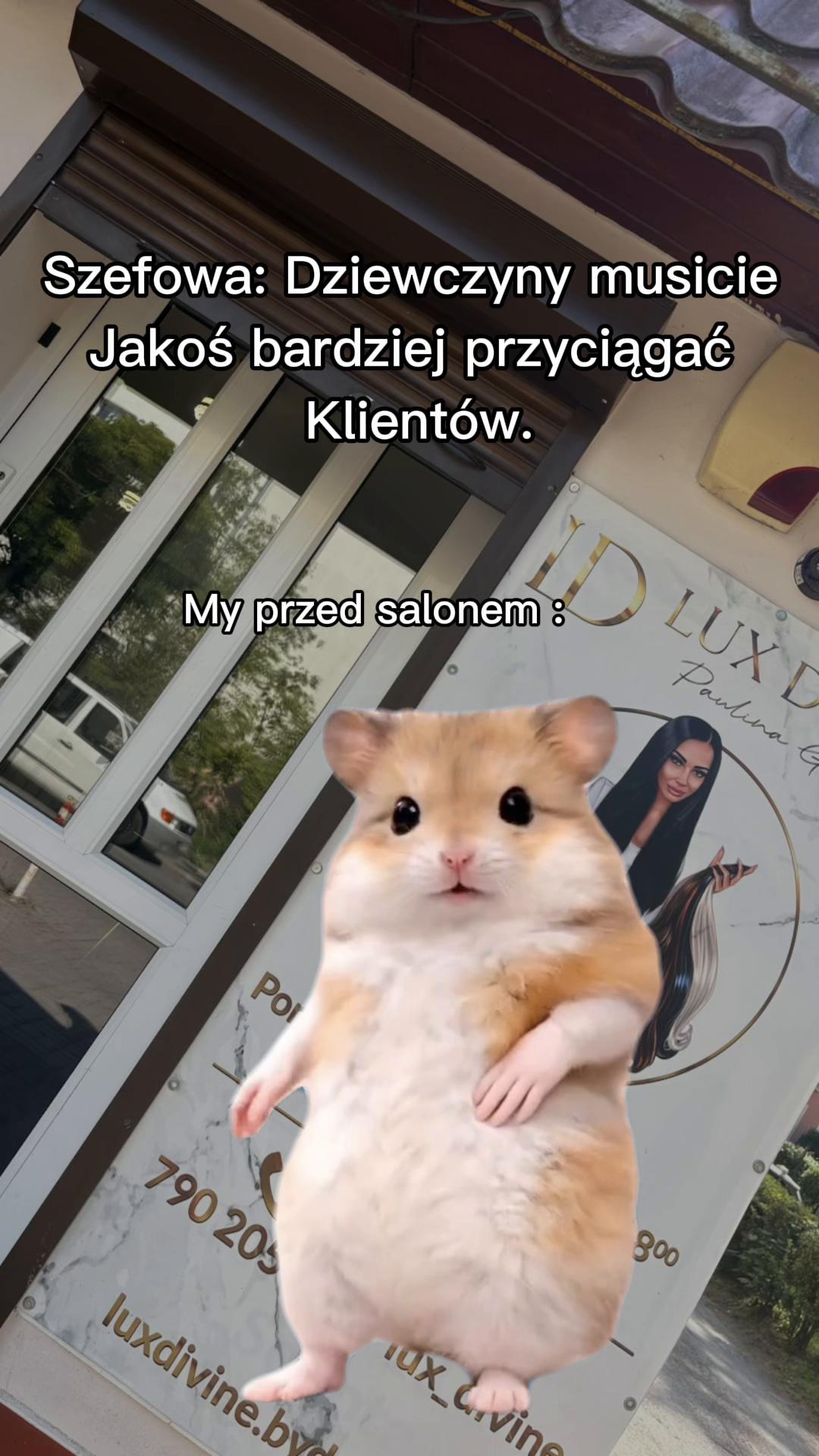 @Bambi 🤡