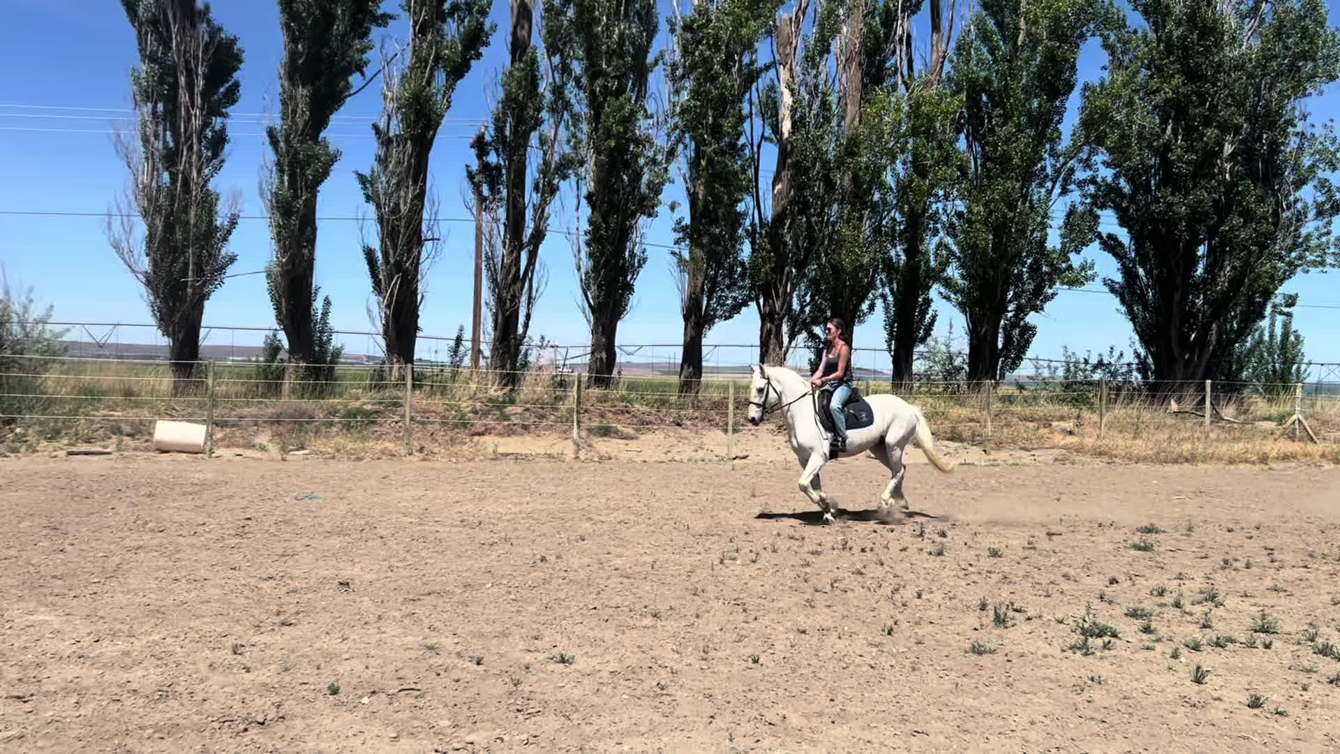 @🐴equestrian🐴