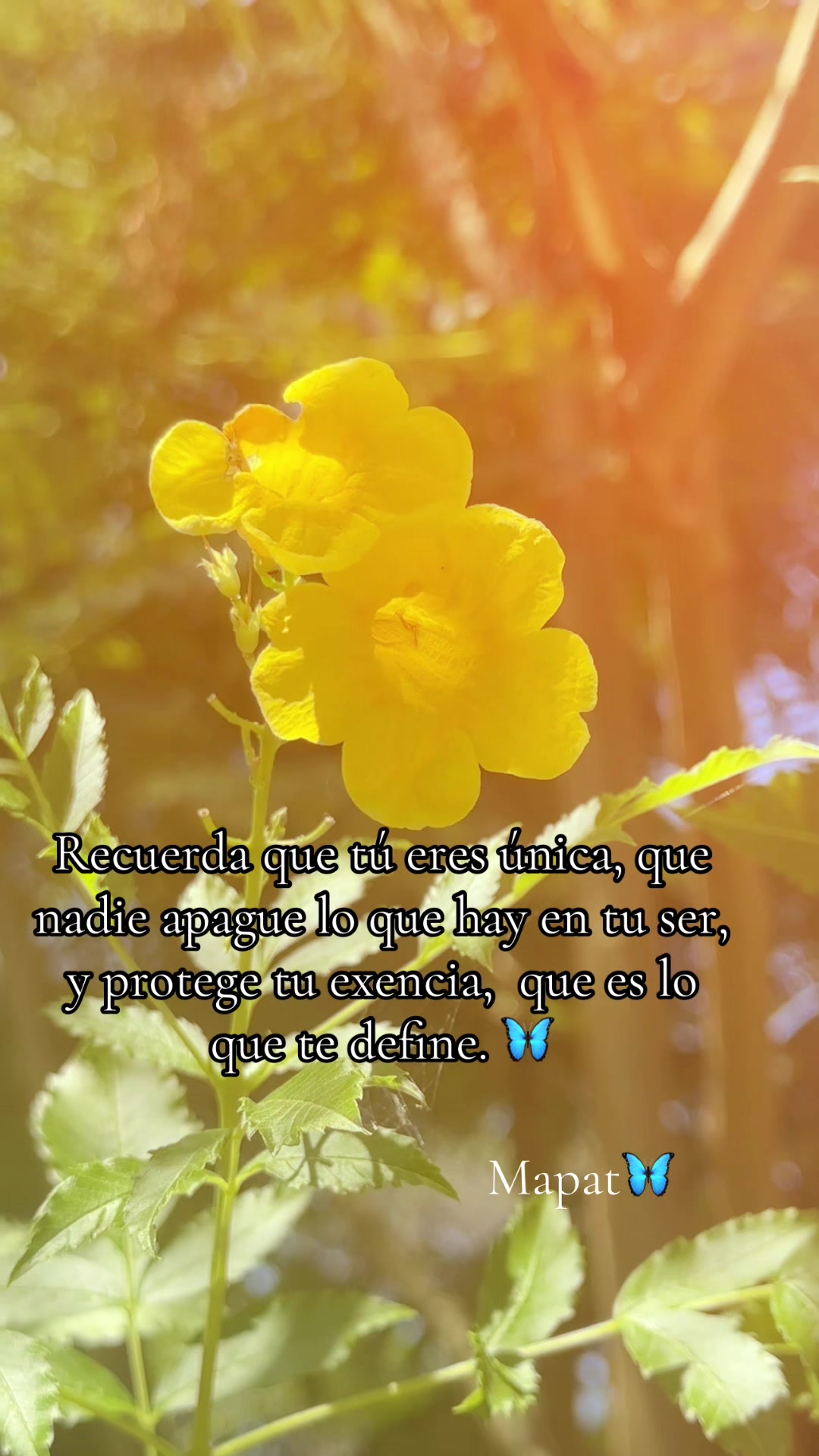 @Martha P. Betancourt Hernández