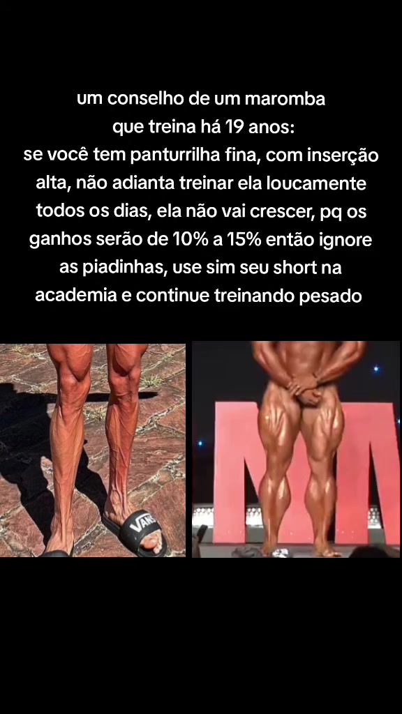 @Grizzo ⴕ