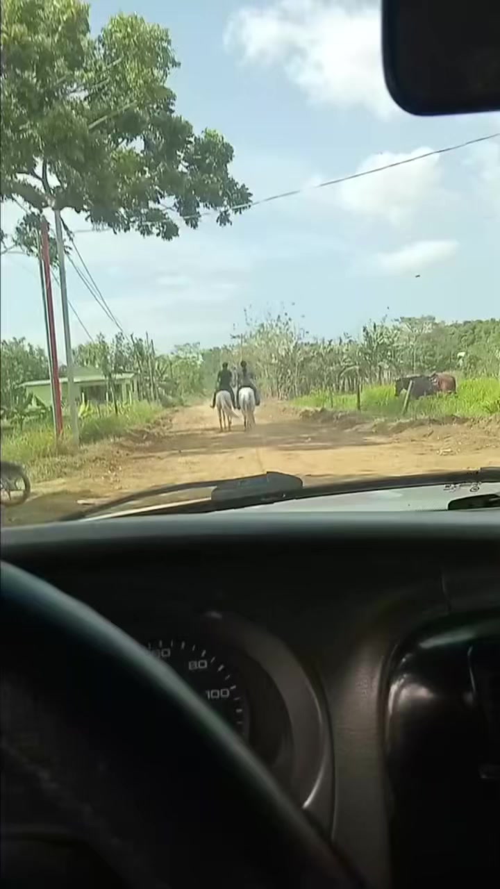 @Moises Vasquéz