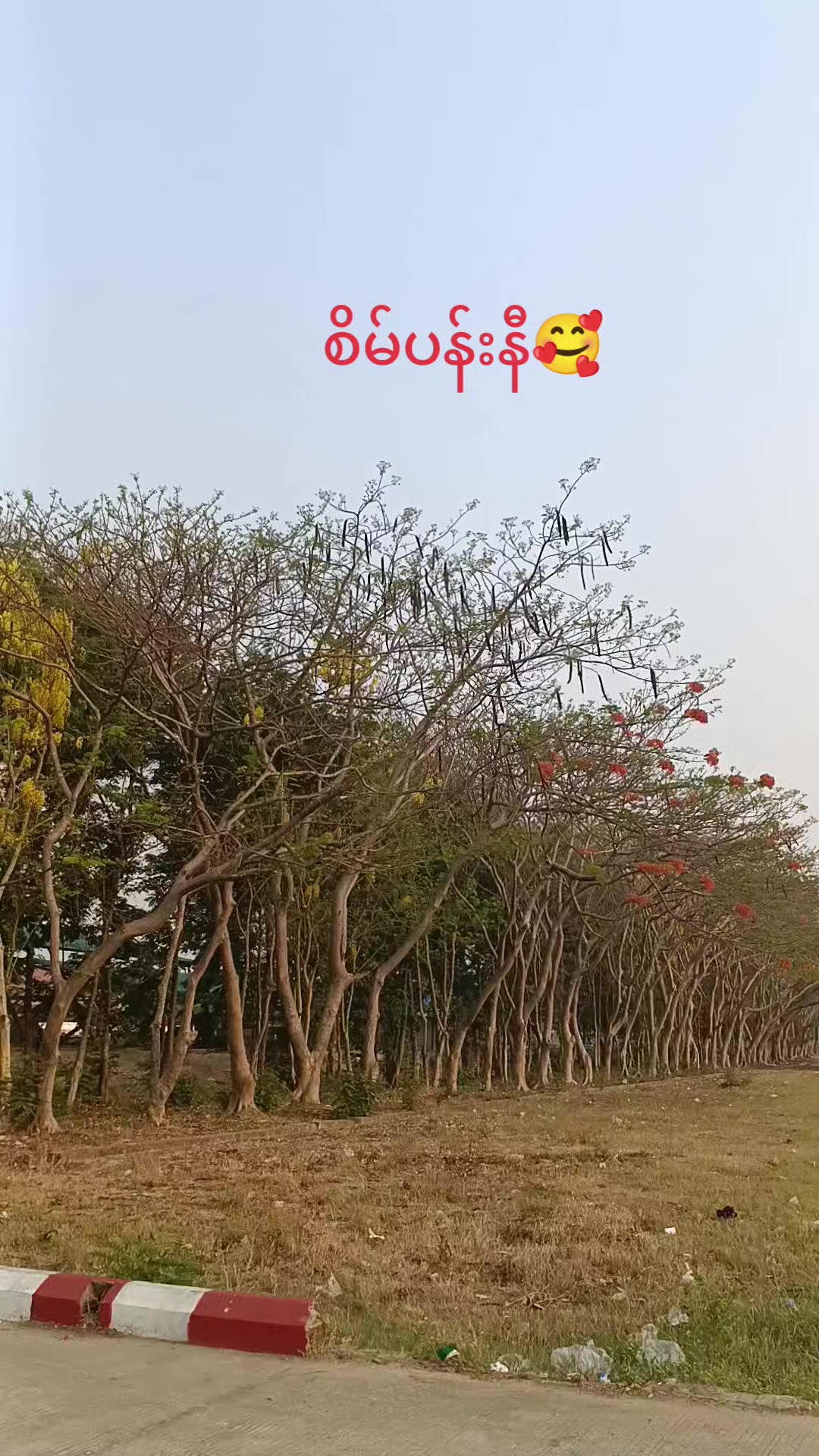 @💗&Atilde;Ŭ&Ntilde;Ĝ💗