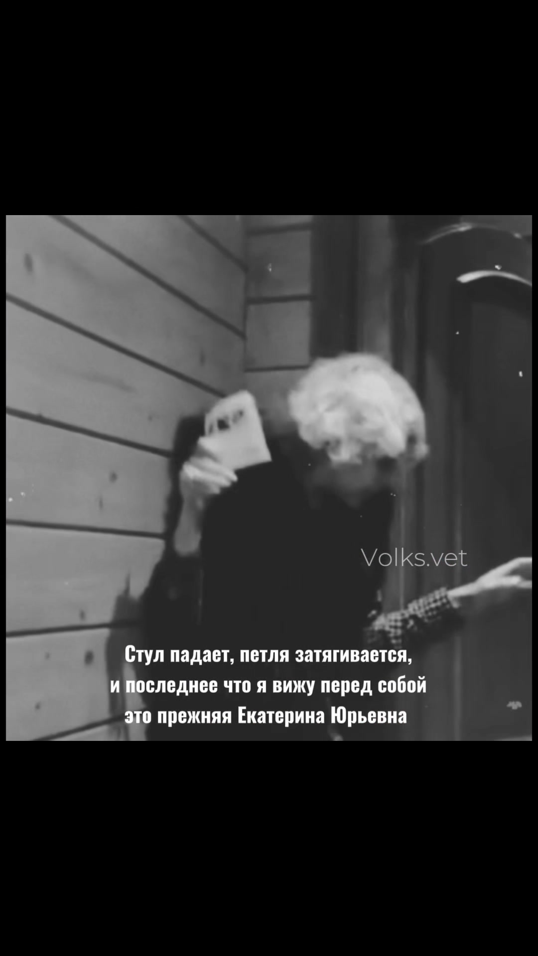 @𝑽𝒐𝒍𝒌𝒔.𝒗𝒆𝒕🐺