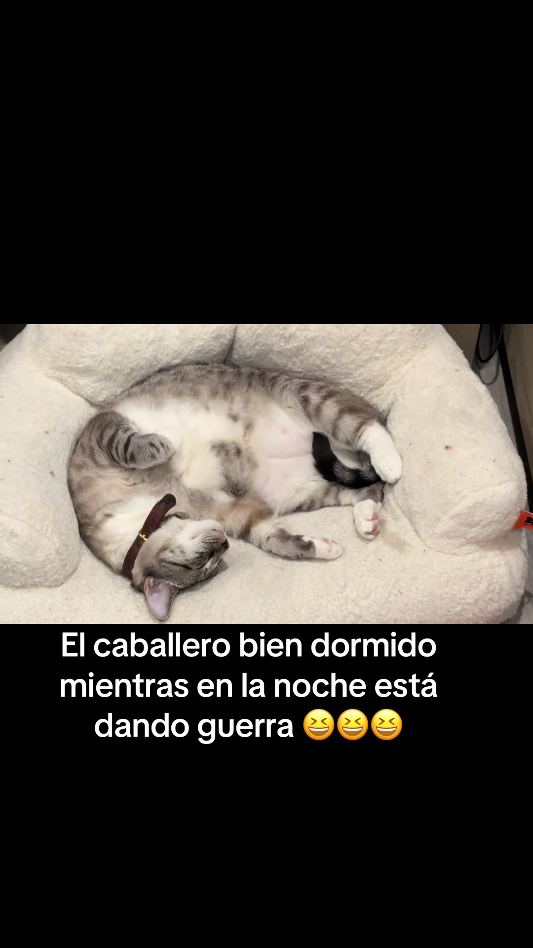 @pekis4ver