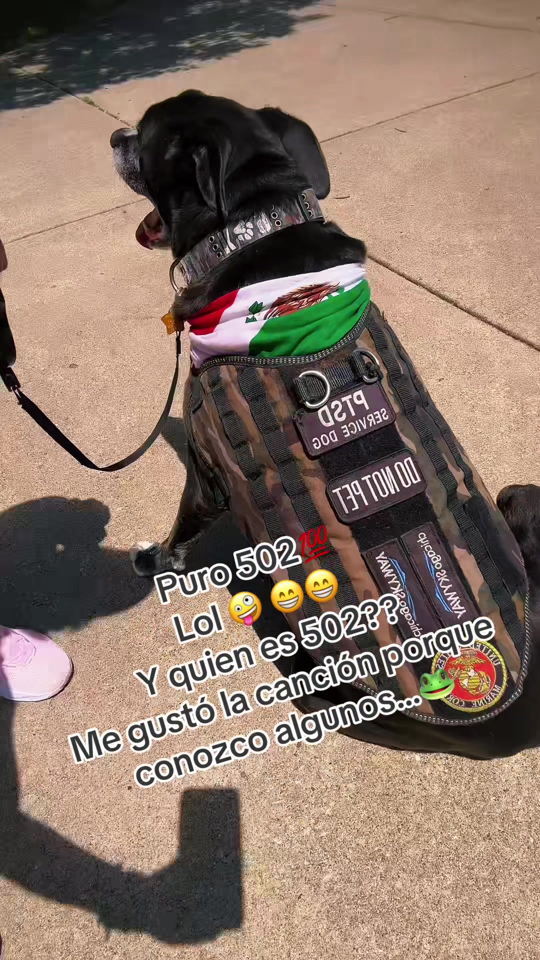 @Normita LaDama ♥️🐞