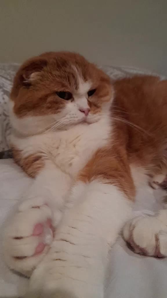 @Anneke & Simba