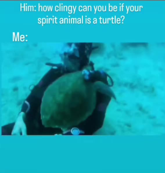 @Rebekah Turner