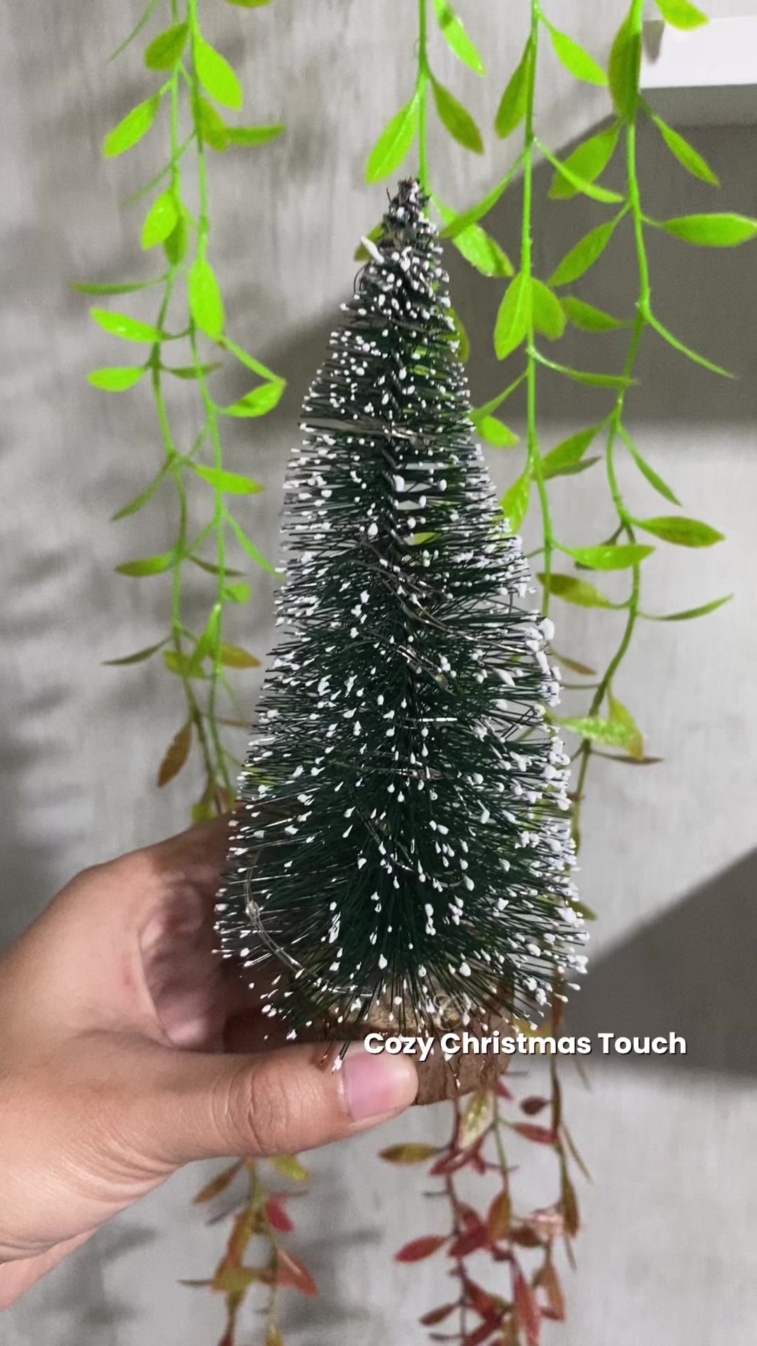 @โ. ๐ห๐ฎ๐ฝ๐ถ๐๐พโฏ๐๐หโ
