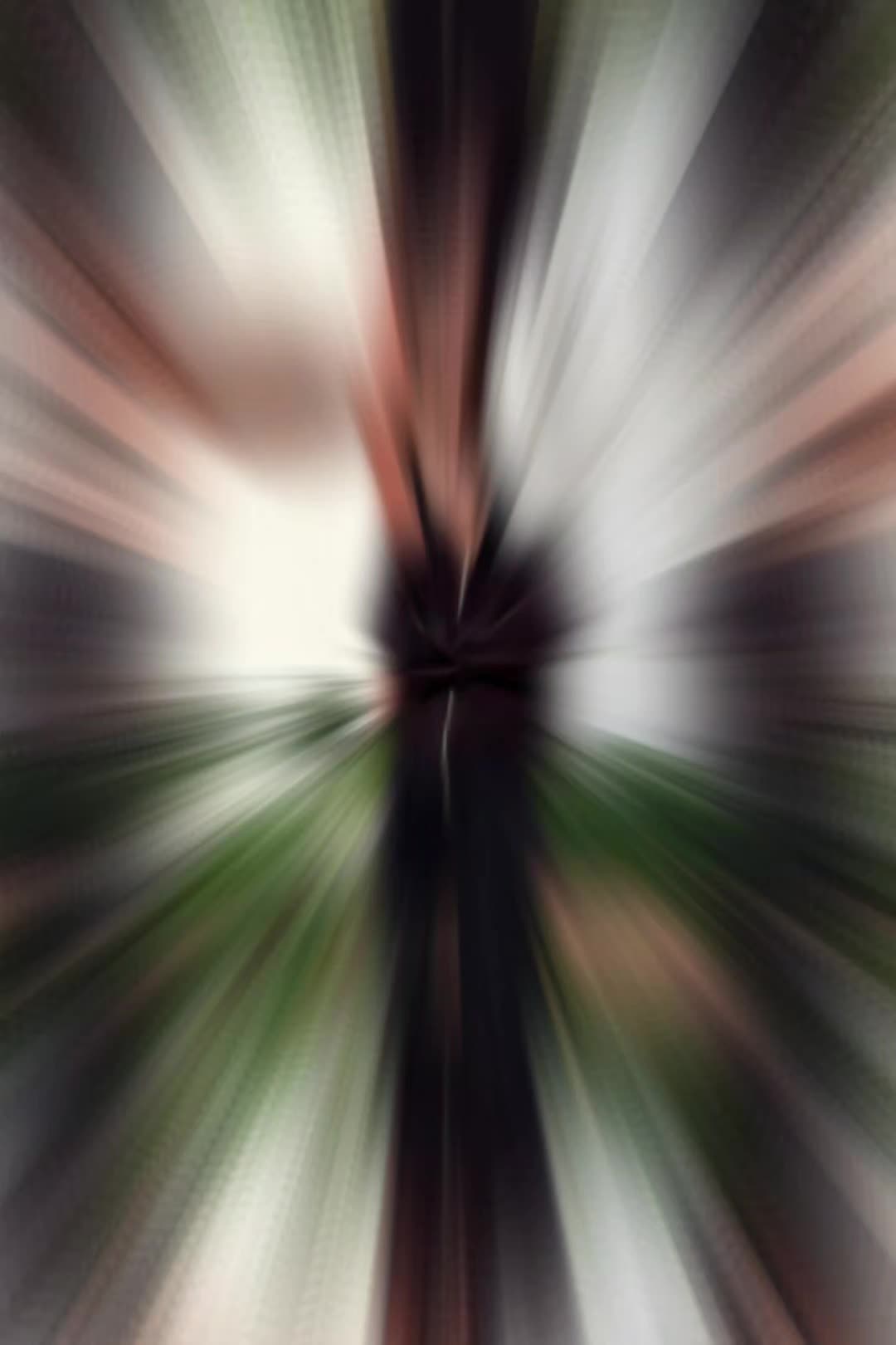 @꧁✩&bull;&cent;н&alpha;&cent;н&alpha;⁶&bull;✩꧂✨️🏴&zwj;☠️