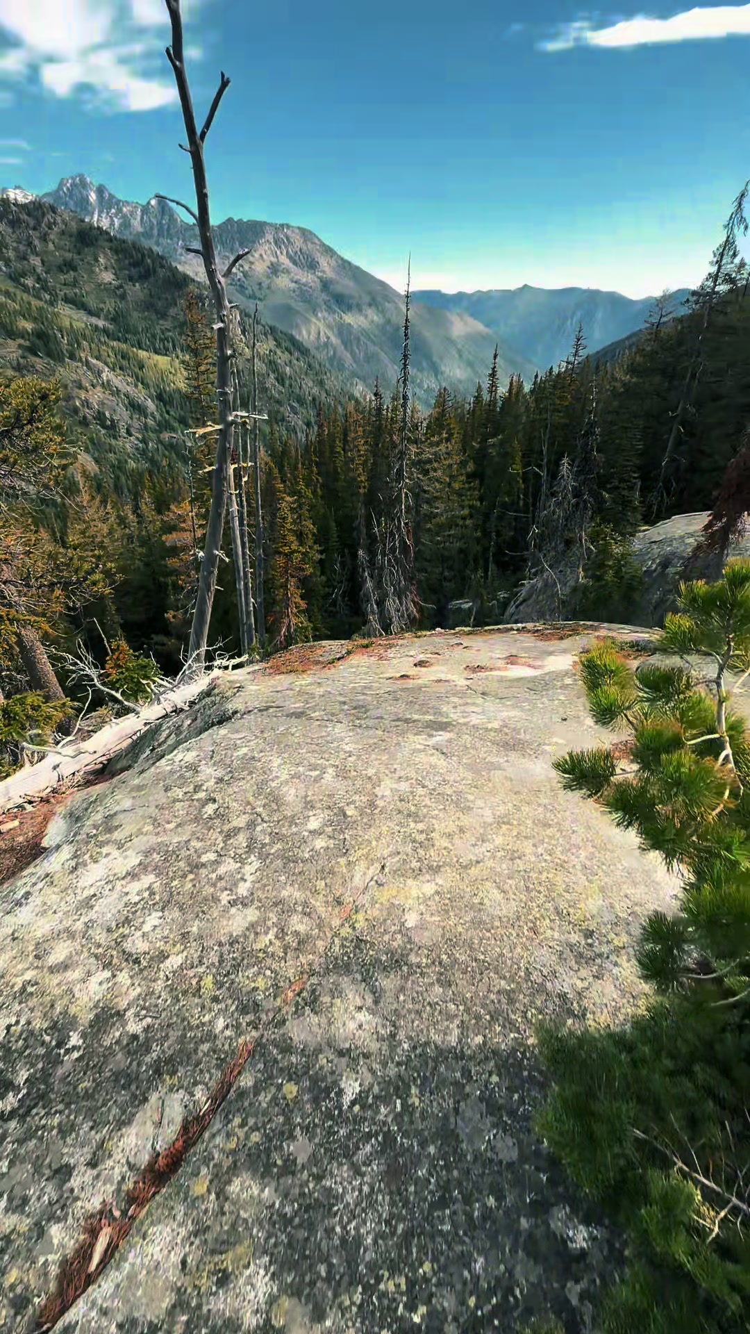 @🌲 James | WA 🏔️