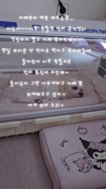@아콩맘♡