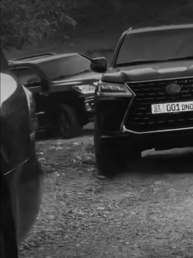 @MafiaCars