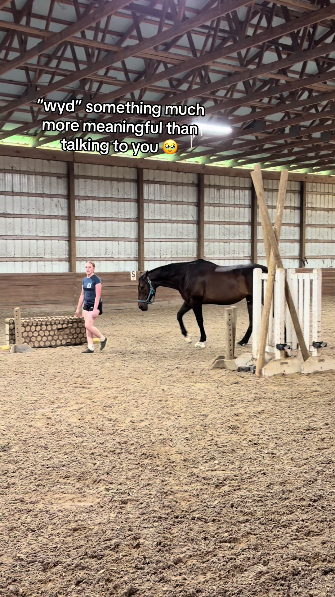 @Katie!🐴
