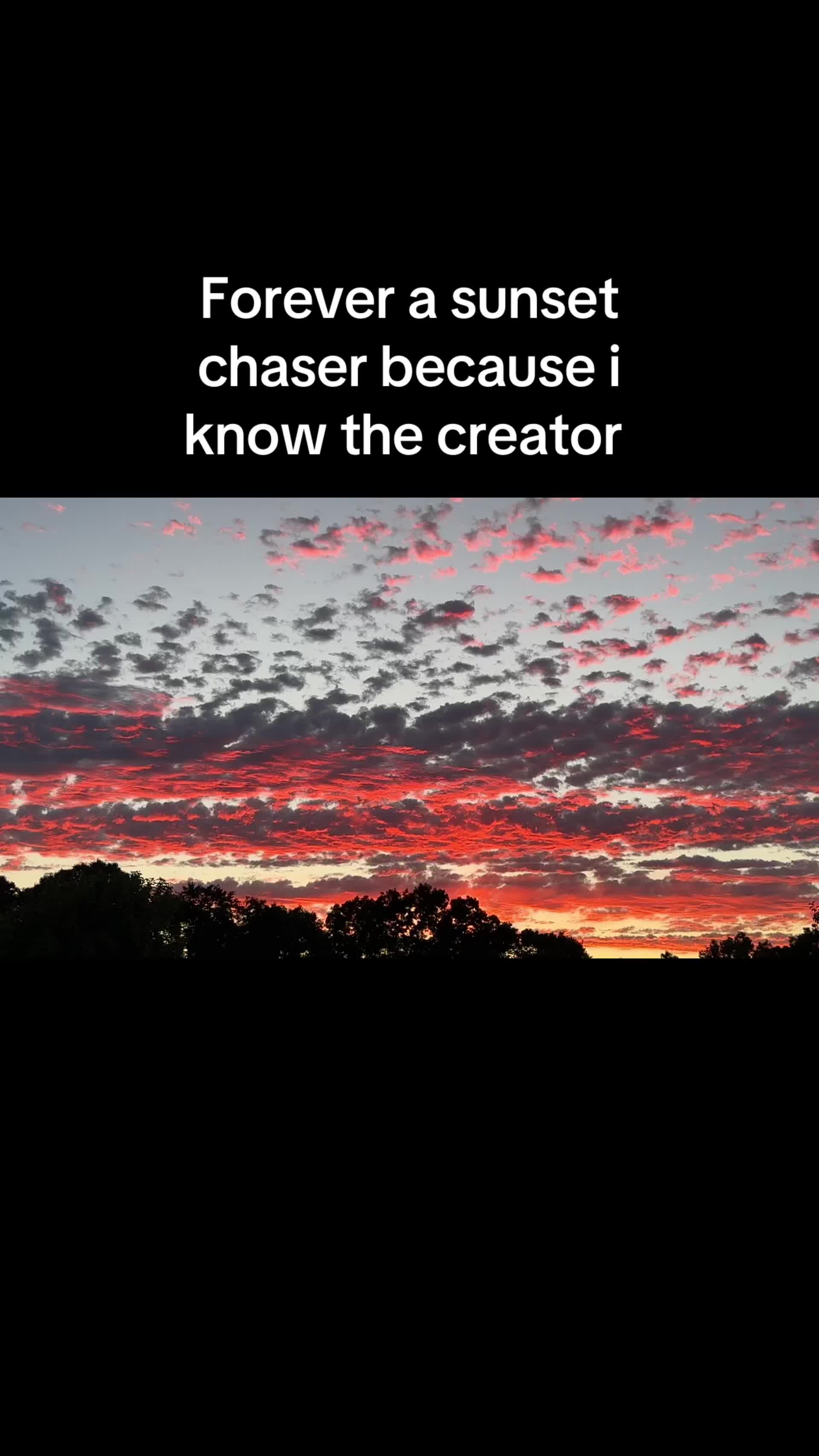 @tam_christ_marx