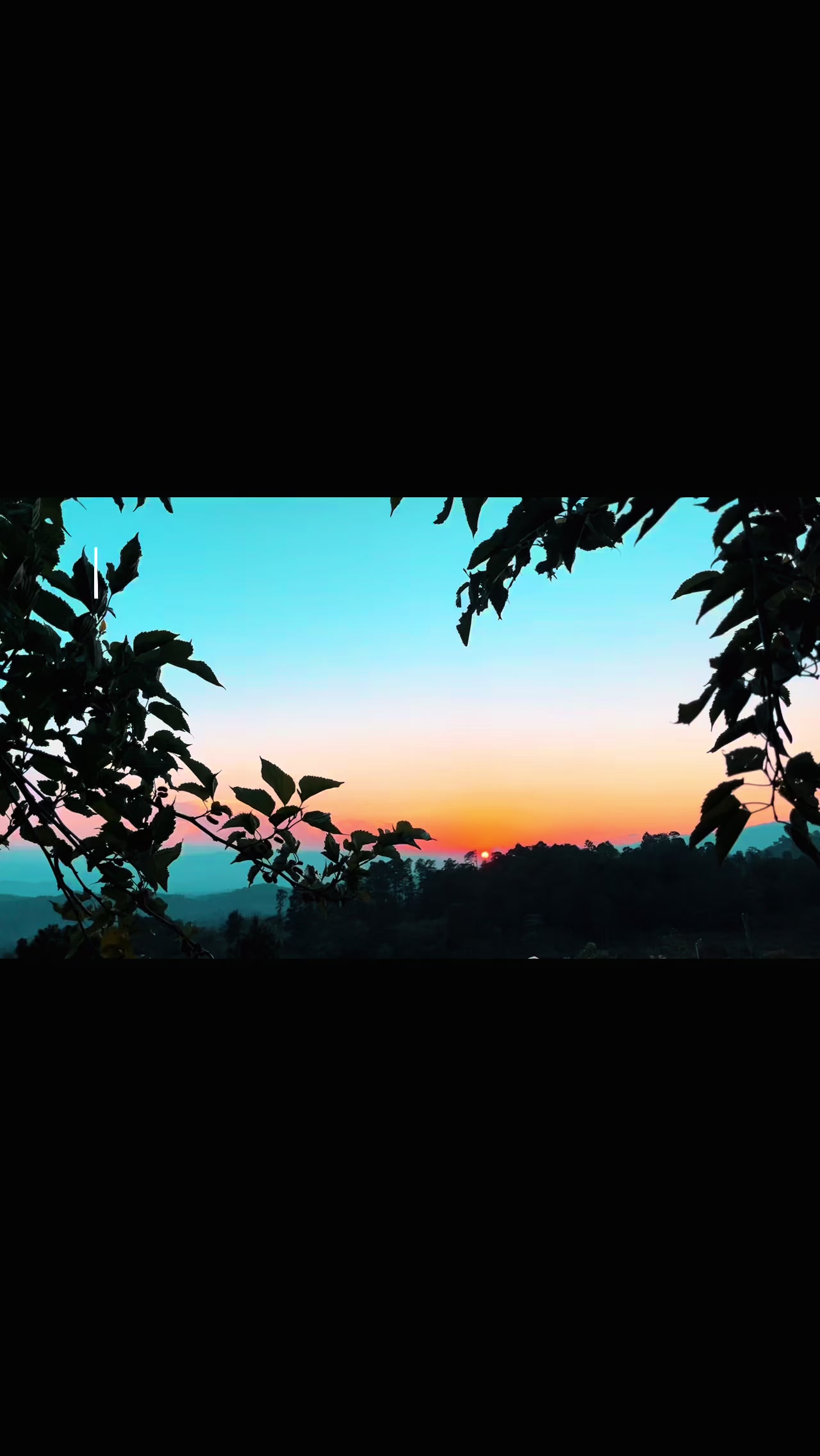 @🦋🖤TÜ xHüLą🦊🖤🐿️