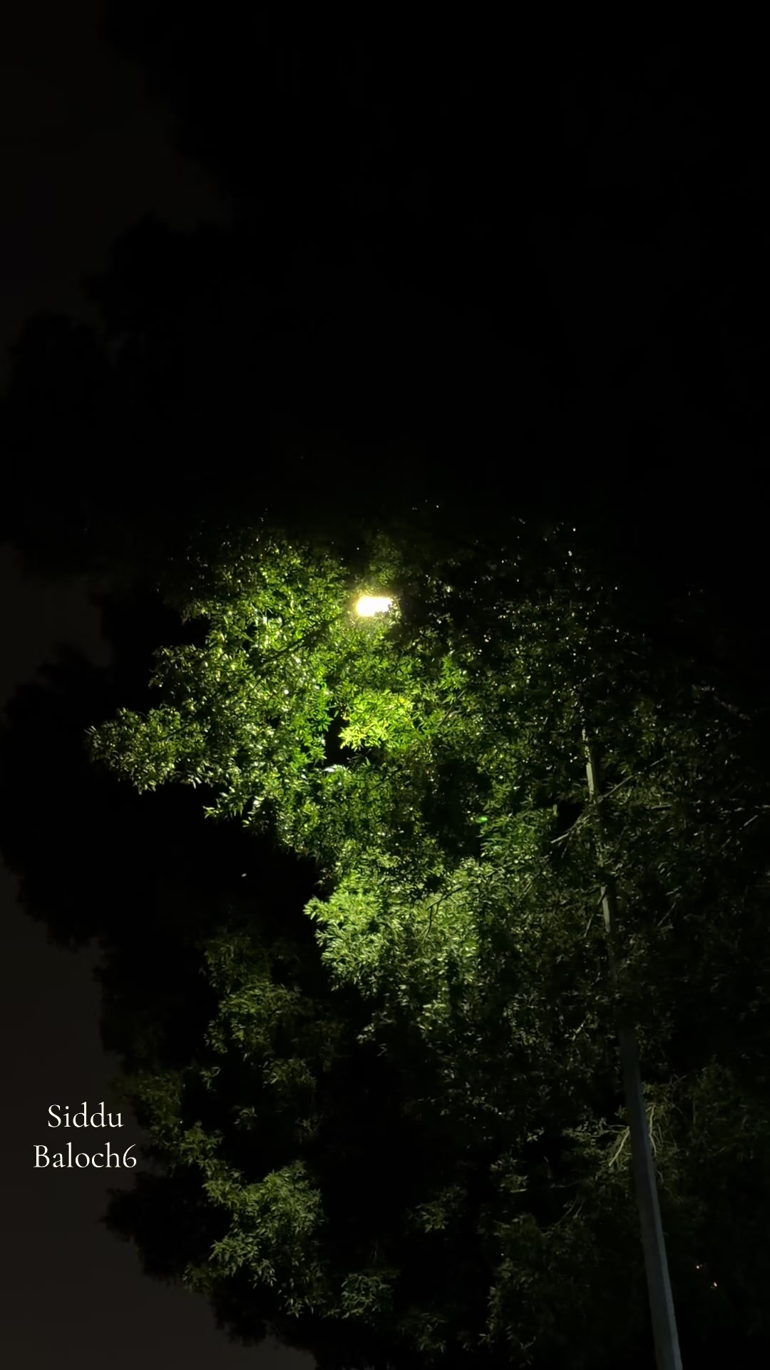 @صدیق رند