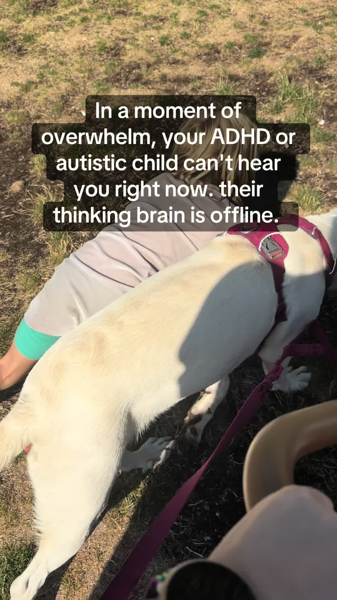 @Mindful as a Mother