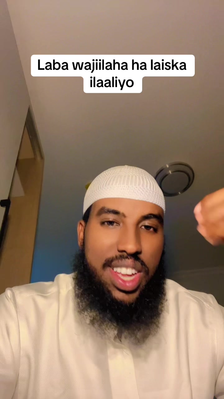 @Qalbitajir