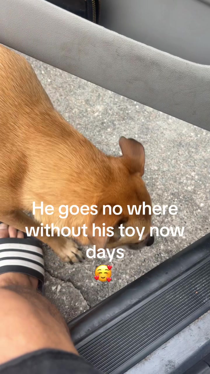 @Xavier Serrano