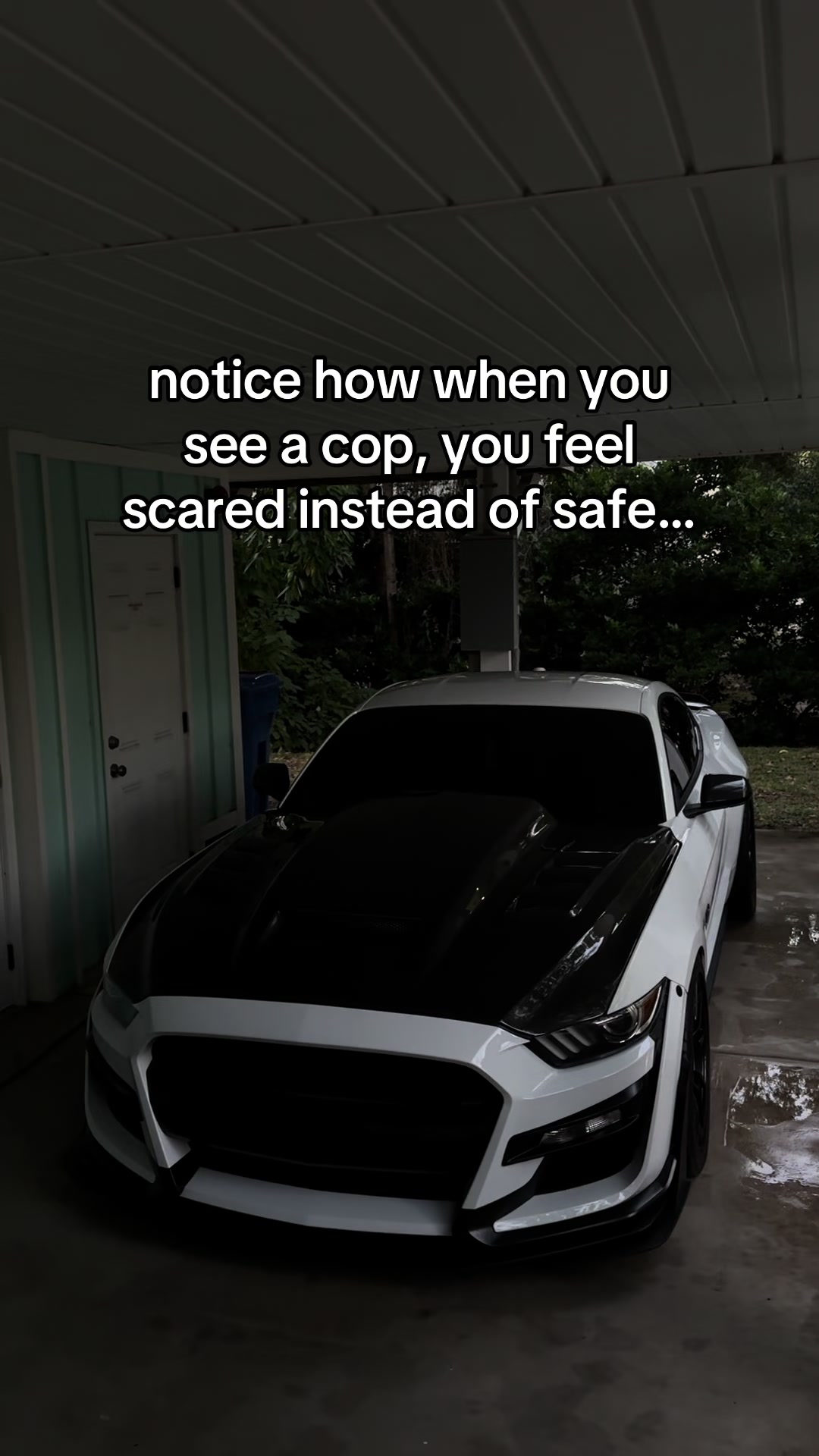 @Noah