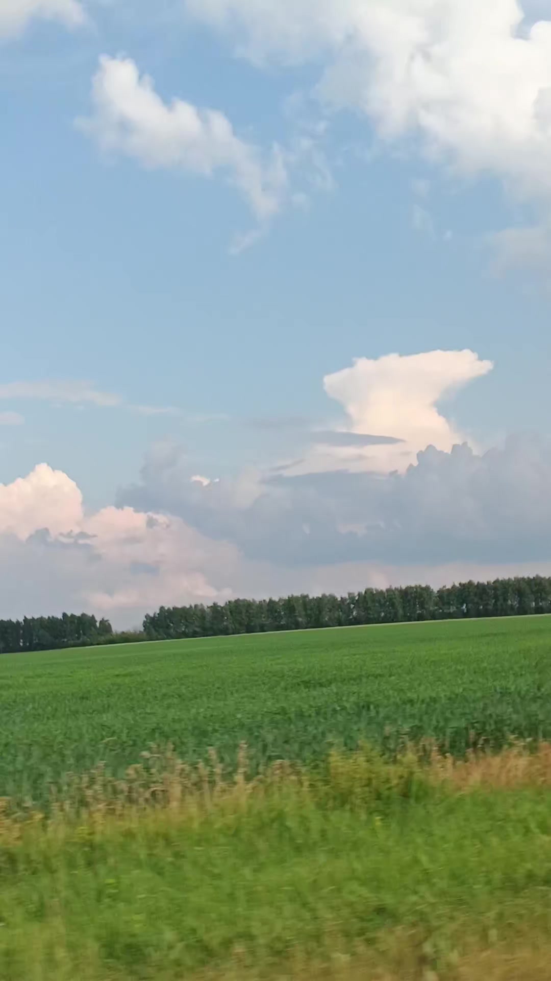 @АНАСТАСИЯ