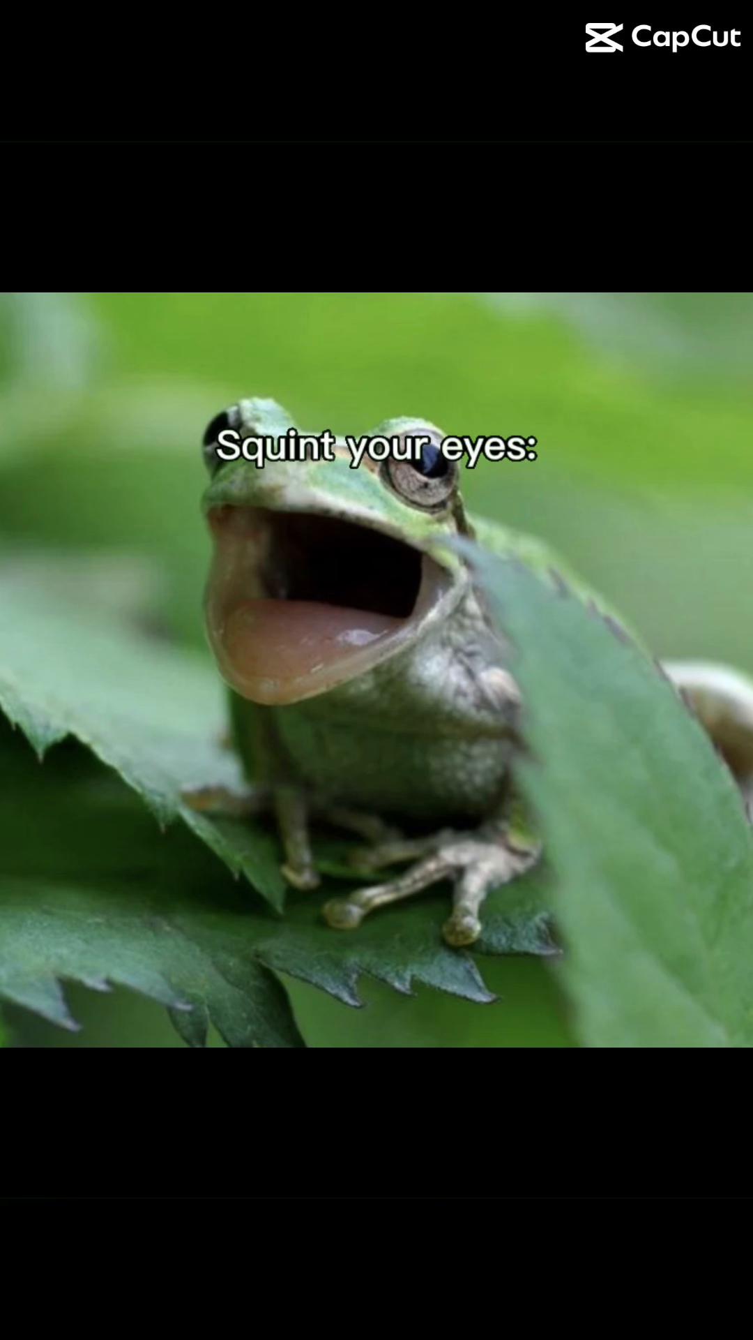 @FroggyVR
