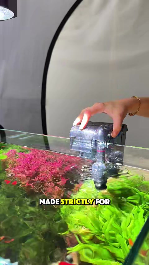 @AQQA Aquarium Store