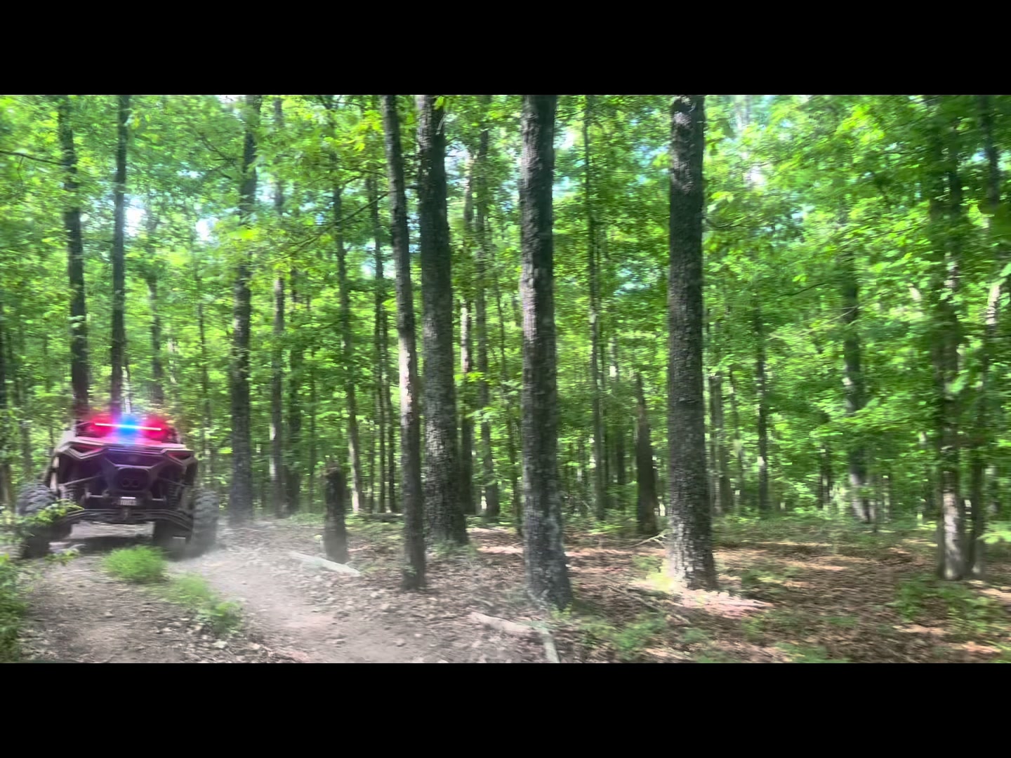 @The Dirts and a R