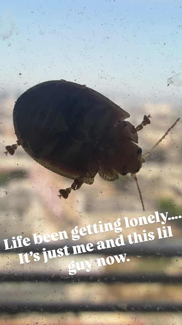 @UpscaleLA