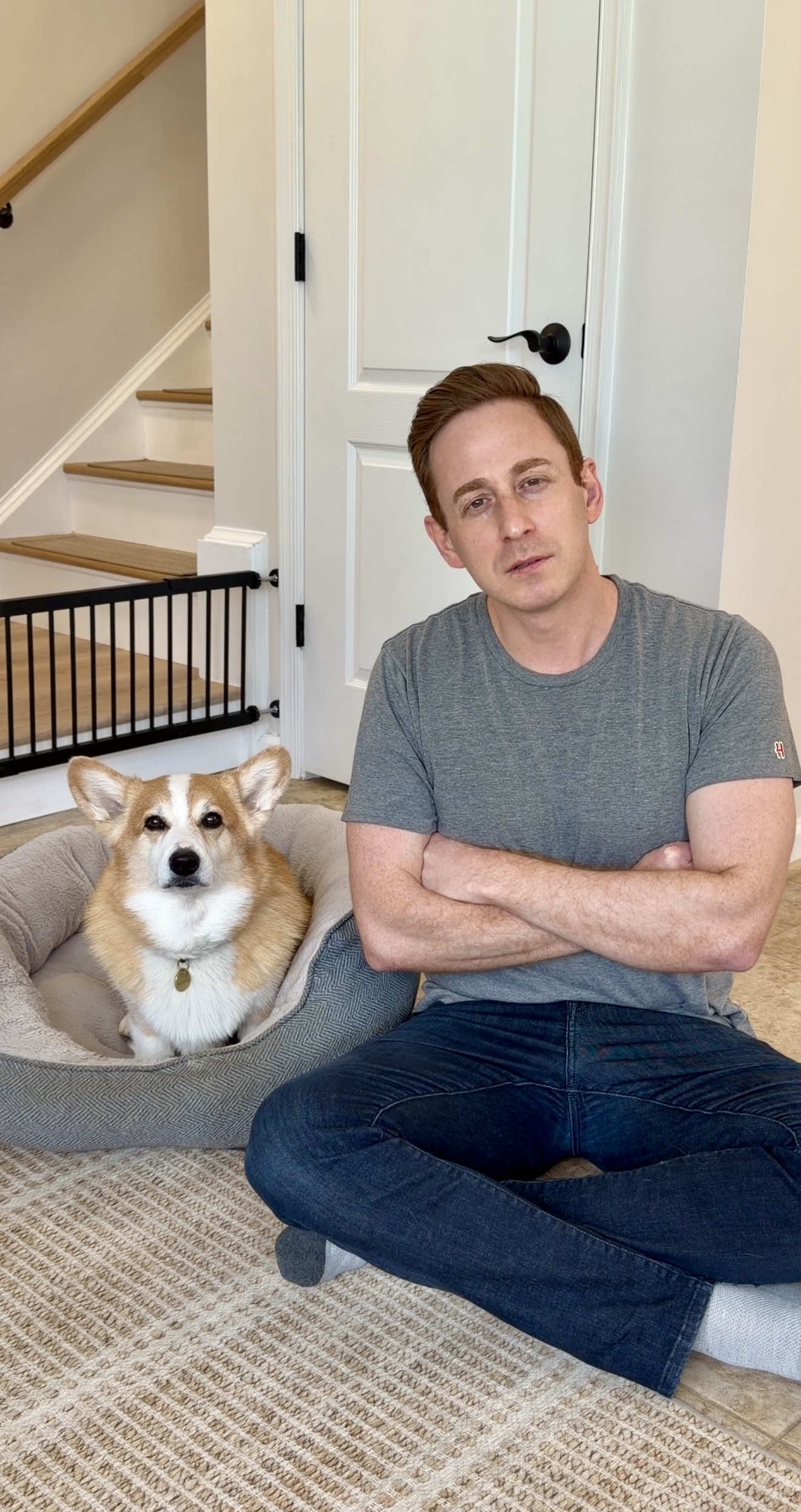@Hammy & Olivia Corgi