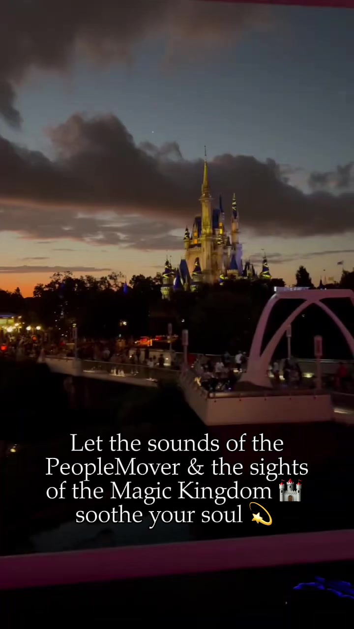 @Disney Mouse House