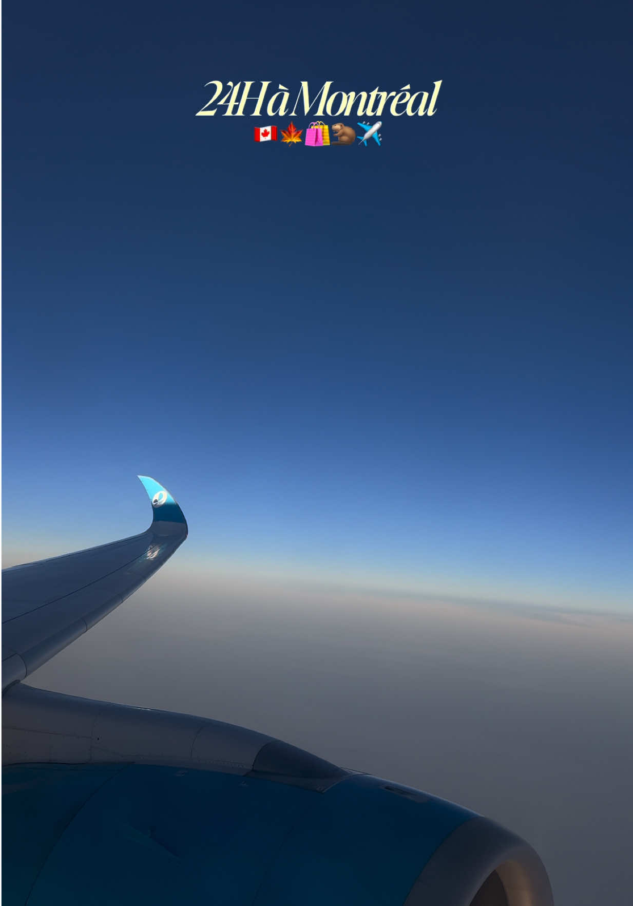 @A M A N D I N E
