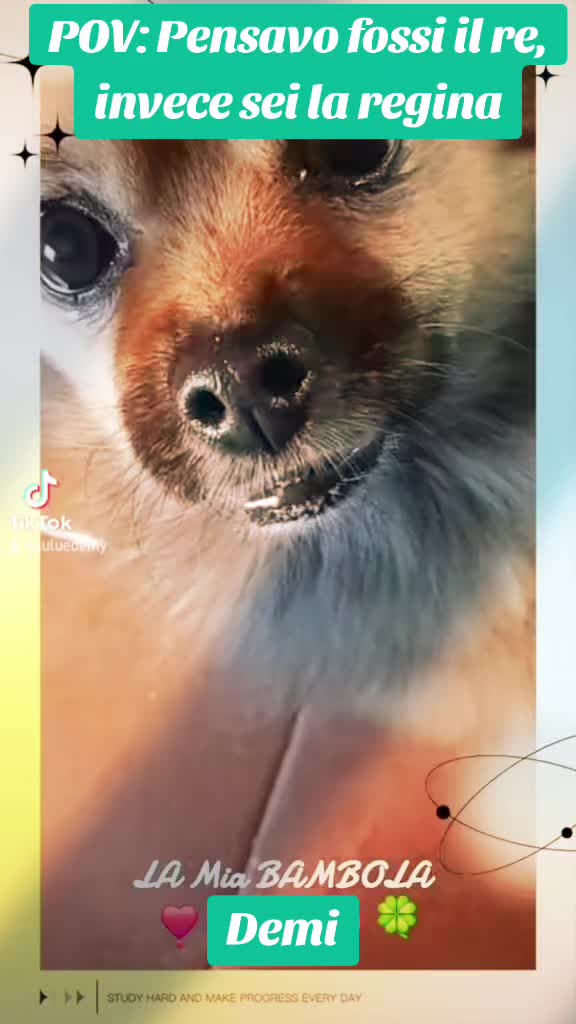 @๐ถโ๐ ๐ฟ๐๐ù ๐โ๐ถ