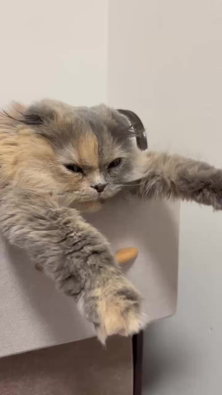 @マイクワゾウスキー