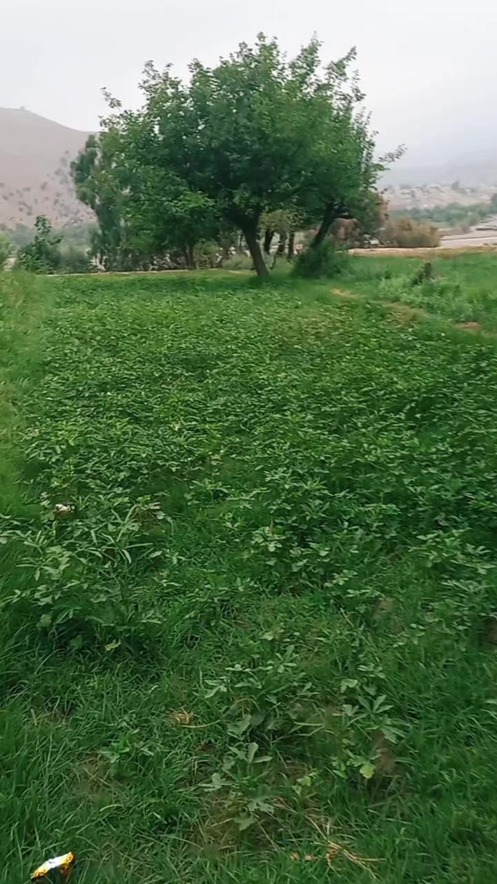 @𝐌𝐫 𝐈𝐫𝐟𝐚𝐧 𝐊𝐡𝐚𝐧