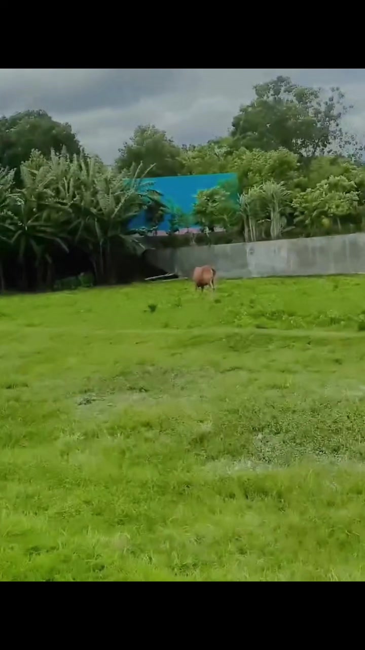 @đŋ āĻĒā§āϰāĻā§āϤāĻŋāϰ āϏāĻžāĻĨā§ āĻāĻžāϞā§āĻŦāĻžāϏāĻž