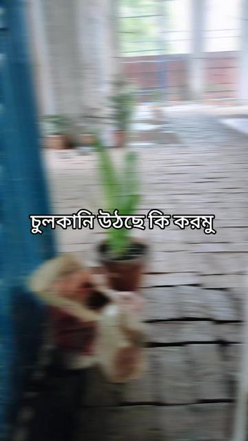 @Ritu Akter