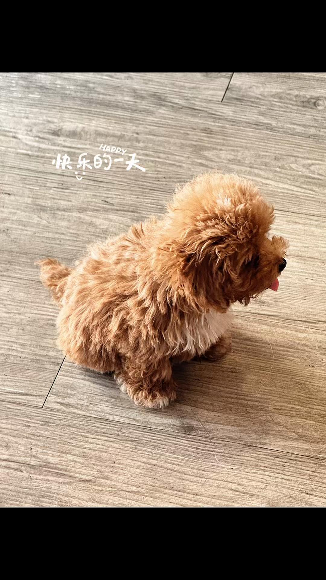 @柔慧💋💋