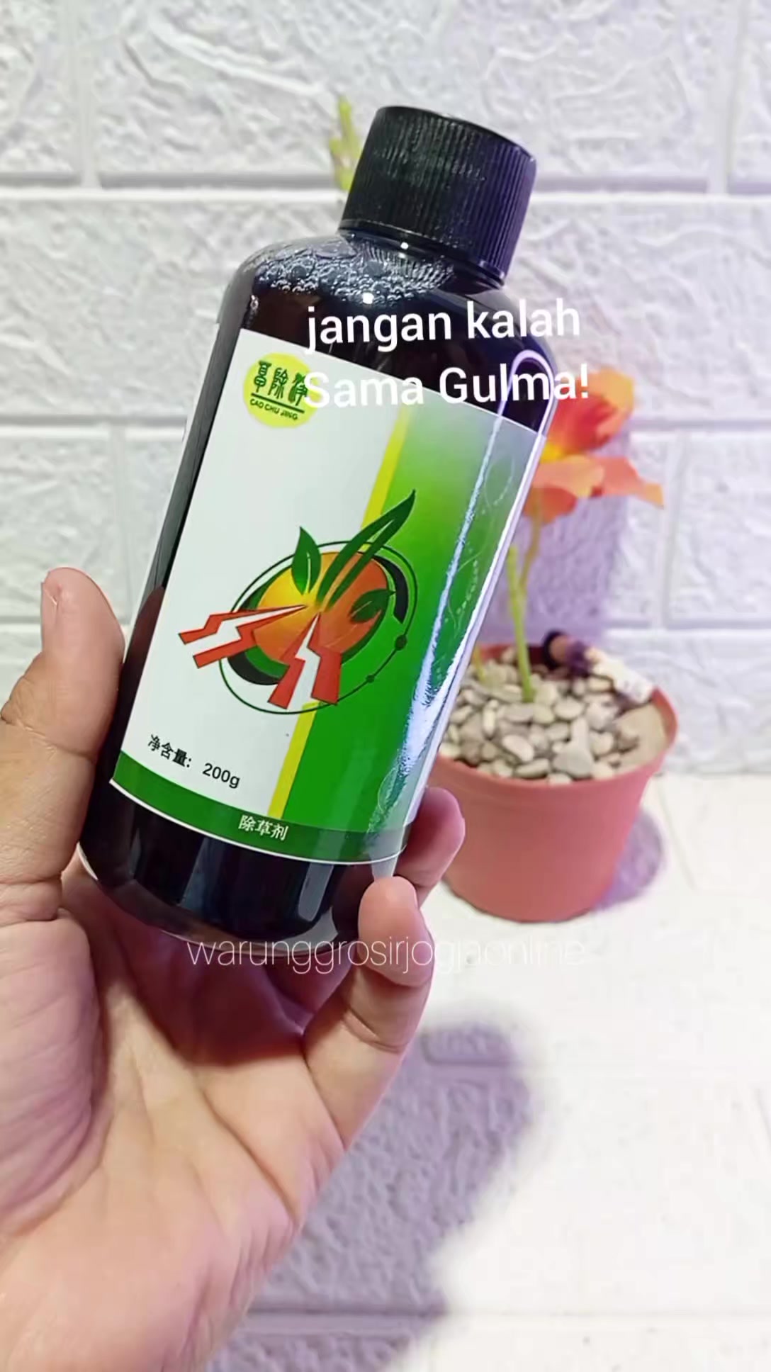 @warung grosir jogja online