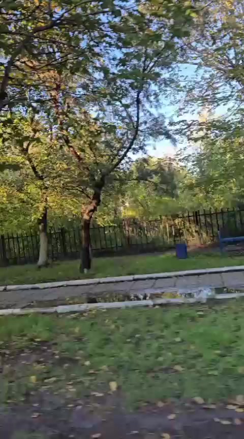 @Ксения