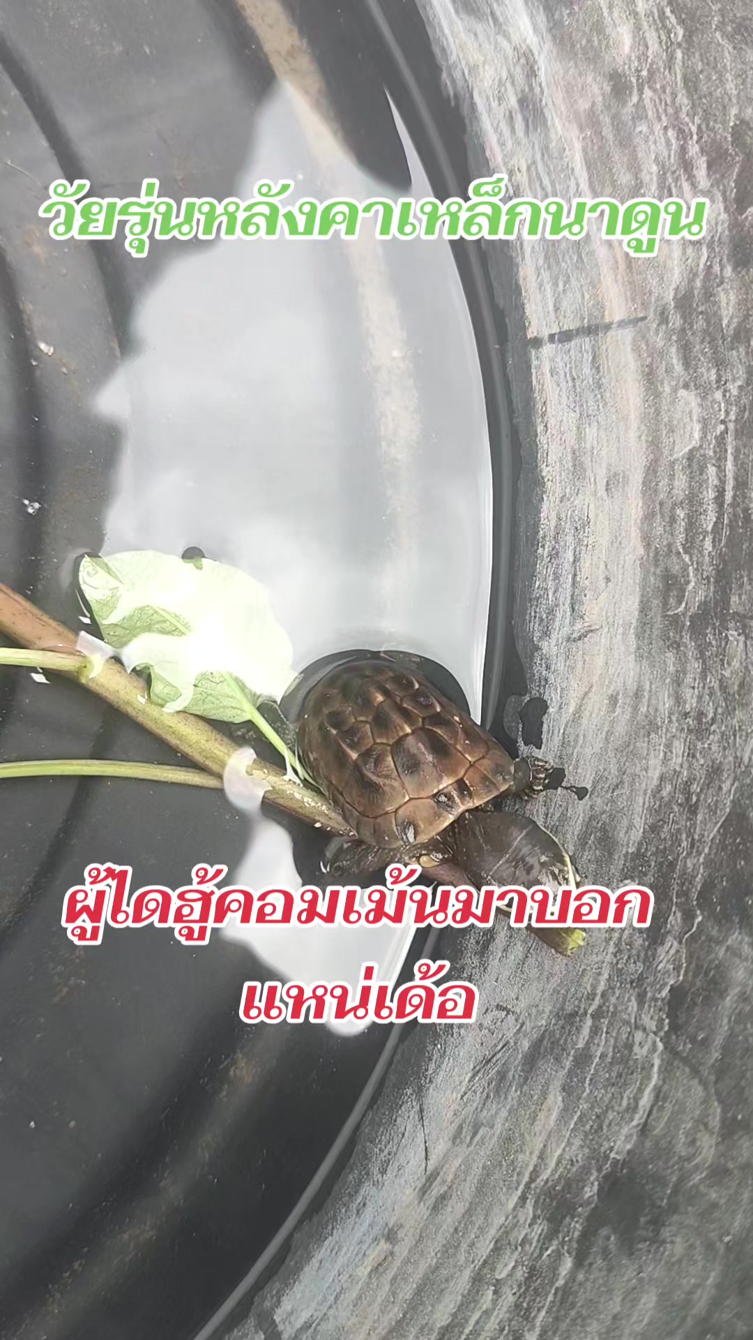 @วัยรุ่นหลังคาเหล็ก👨👩👧👧